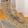 Mipcase 2Pcs Reptile Seagrass Hammock Lizard Hammock Hanging Ladder Lounger