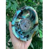 Abalone Shell, Seashell Incense Burner, Smudge Bowl for Holding Smudge