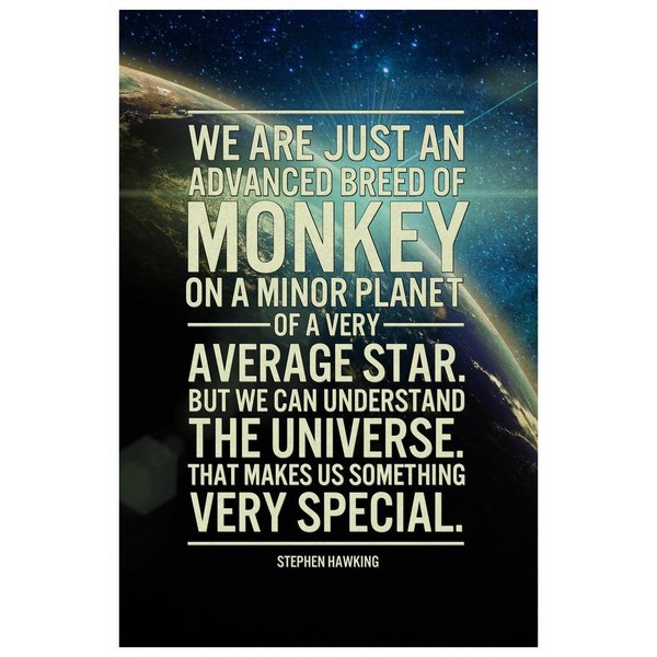 Laminated Stephen Hawking Understand the Universe Famous Motivational Inspirational Quote