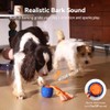 Cheerble Smart Interactive Dog Toy, Wicked Ball Rolly, Automatic Moving,