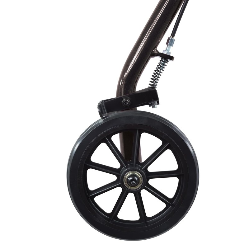 ProBasics Aluminum Rollator with 6-inch Wheels, Padded Seat and Backrest,
