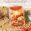 STRN Wax Melts, Soy Wax Cubes Summer Scent Wax Melt