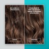 Ampolletas para el cabello maltratado | Extracto de caviar |