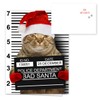 Purrpetrator Santa Cats Holiday Card Assortment Pack / 24 Christmas