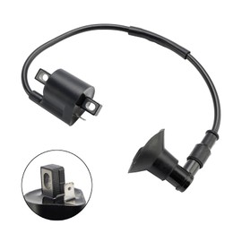 Topteng CDI BOX Igniter Ignition Coil for Polaris ATV PREDATOR/SCRAMBLER 50/90 2004-06, for Can-Am ATV Mini DS 50/90 2002-06, for Aeon ATV Cobra 50 2001-11, for CPI ATV Crab 50/100 2003-04