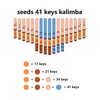 Seeds Kalimba 41 Keys, Advanced Thumb Piano C- Tuned, Chromatic