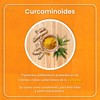 VIZANA NUTRITION | Cúrcuma Orgánica Certificada USDA en Polvo 200g