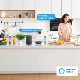 WELOCK WIFIBOX3 Smart Bluetooth Gateway für Home Remote Entriegelung und Alexa-Verbindung Einfache Steuerung und sichere Zutrittskontrolle.