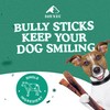 BARK'N BIG 12 Inch Odor Free Bully Sticks for Dogs