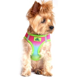 Ultra Choke Free Step in Reflective Dog Harness American River Ombre Rainbow