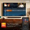 VIZIO 24-inch D-Series FHD LED Smart TV w/Bluetooth Headphone Capable,