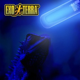 Exo Terra Night-Glo Moonlight A19 Lamp