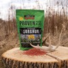Whitetail Products Gone Wild, Screening Forage Sorghum Food Plot Seeds,