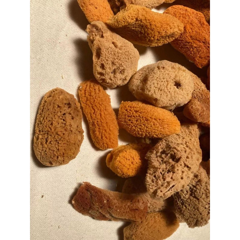 LOS MORALES SOUVENIRS Mini Esponjas Naturales. Cosmeticos. 50 Pzas #24