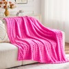 NEWCOSPLAY Super Soft Twin Blanket Pink Premium Silky Flannel Fleece