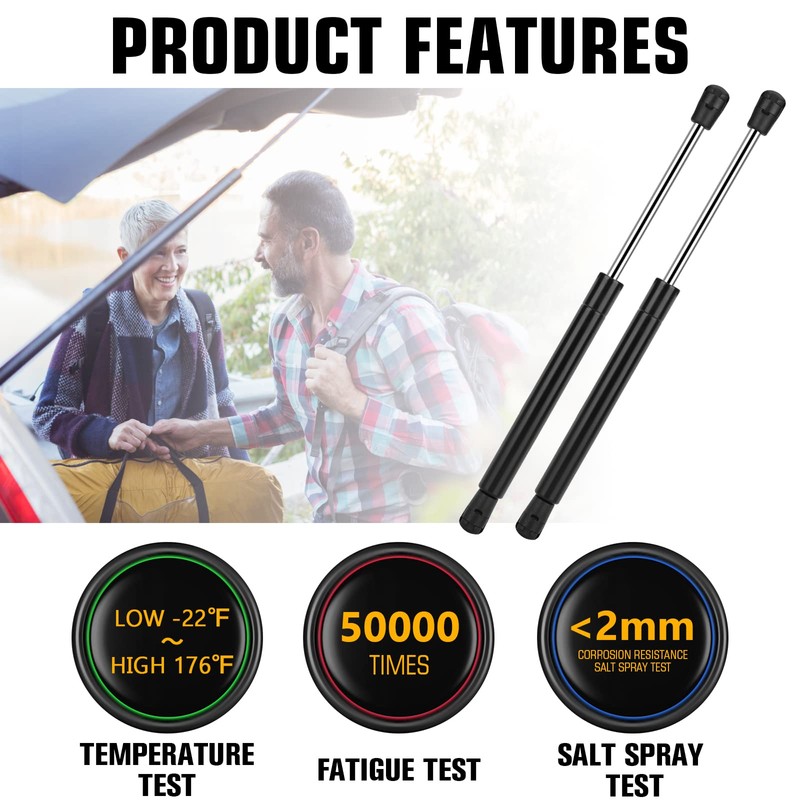 Rear Trunk Lift Support Shocks for Dodge Challenger 2008-2016 Gas