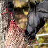 Zhengmy 4 Set Tie Ring for Horses Solid Steel with