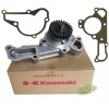 Kawasaki OEM WATER PUMP WITH GASKETS, KAWASAKI FD620D, 49044-2066, 11060-2451,