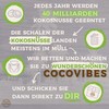 Cocovibes Coconut Bowl Buddha Bowl Lacquered Hand-Made and Environmentally Friendly