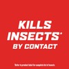 Ortho Outdoor Insect Killer Concentrate Kills Listed Ants, Spiders, Fleas