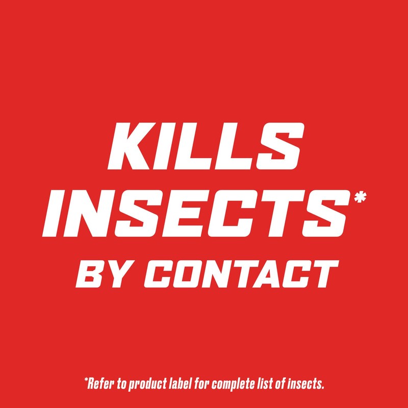 Ortho Outdoor Insect Killer Concentrate Kills Listed Ants, Spiders, Fleas