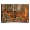 Birchwood Casey 37481 EZE-Scorer Deer 23x35
