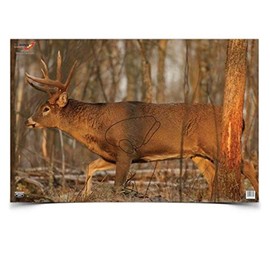 Birchwood Casey 37481 EZE-Scorer Deer 23x35
