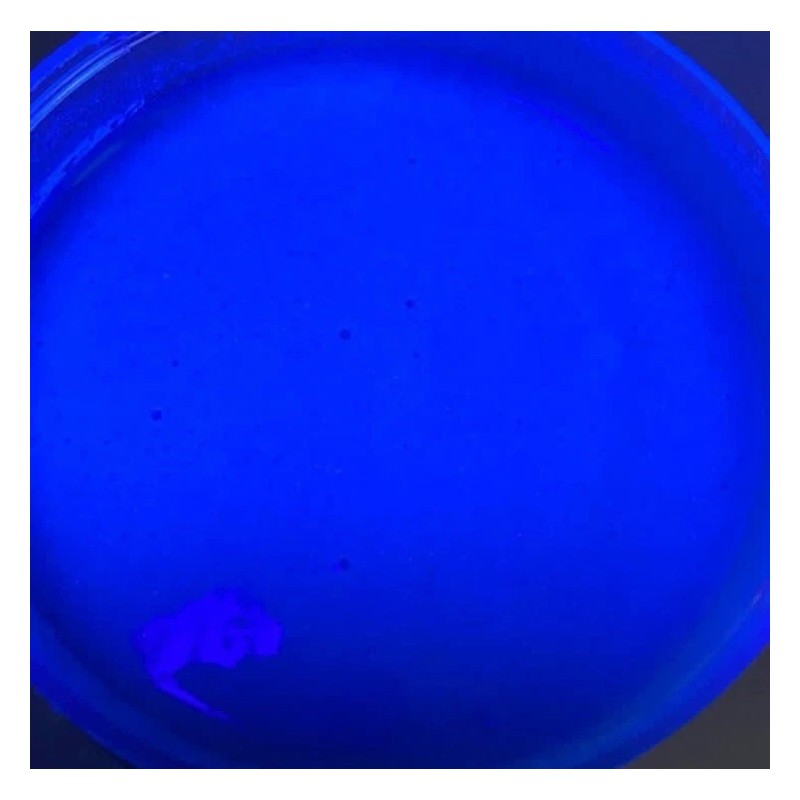 Fruti Mich Escarchado sabor Mora Neón Para Bebidas Frutimich 1.1kg