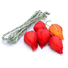 Yamaichi Shoten B-853 O-bon Decoration, Obon Supplies, Hozuki, Artificial Flowers, 5 Pieces, Rope Included