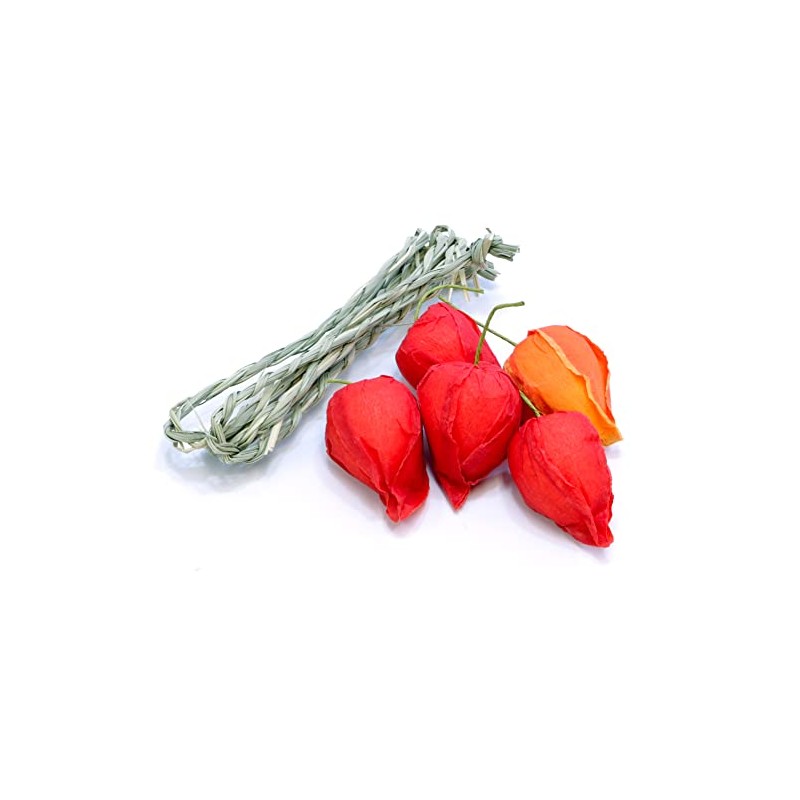 Yamaichi Shoten B-853 O-bon Decoration, Obon Supplies, Hozuki, Artificial Flowers,