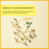 Wissotzky Chamomile Herbal Tea, 60 Tea Bags (3 Pack) |