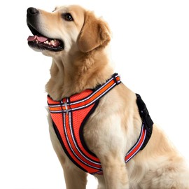 Wisedog Ajustable Mesh Breathable Dog Harness - Reflective Webbing, Lightweight No Pull Harness with 3 Fast-Release Buckles for Dogs Walking, Running and Outdoor Adventures, Orange L