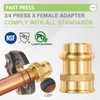ORIANSE 10 Pack Brass Propress Fittings 3/4" ProPress x 3/4"