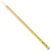 Namurataiseidou Design Brush, Painting for Art Teaching Materials, Medium
