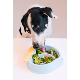 CANINOZ 4er-Pack Futternapf für Hunde, langsame Anti-Agkeit, Spielzeug für Hunde, interaktives Hundespielzeug, Schüssel, originelles Geschenk für Herren, Damen, Futternäpfe, Katzen, Zubehör für Hunde