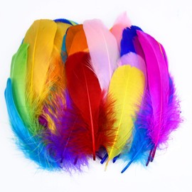 Pack of 100 Colourful Natural Feathers Craft Feather Decorative Feathers for Crafts Goose Feather Mixed Coloured Feathers Fluffy Feathers for DIY Artwork Carnival Masks Hats Earrings Party Dream