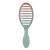 Wet Brush Feel Good Ombre Speed Dry - Seafoam