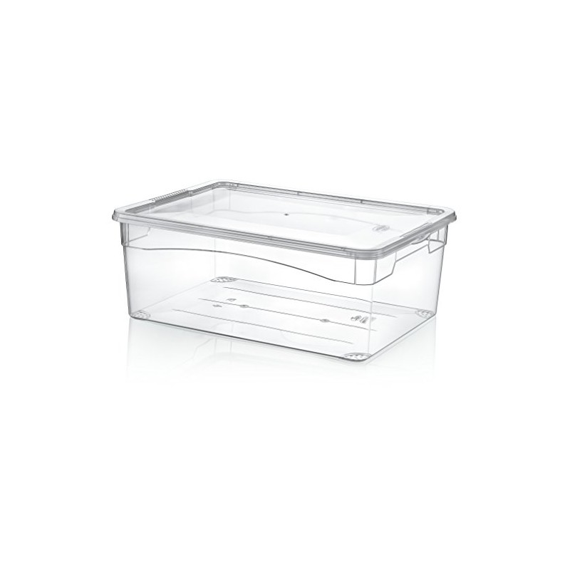 HOBBY LIFE 1-Piece Plastic Men Shoe Box