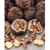 Unbranded 10 Pk, Natural Black Walnut Juglans Nigra *Rescue* 1yr
