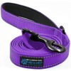Max and Neo Small Dog Reflective Nylon Dog Leash -