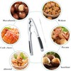 Gxlaihly Nutcracker, walnuts, die-cast zinc stainless steel with walnut needles,