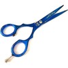 Hair Cutting and Hairdressing Scissors 6 Inch, Premium Stainless Steel