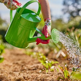 Gebol Gardeluxe "Bee-Friendly" Flower & Fruit | 1 Pair | Size 7/S | Garden Gloves in Bee Design | Limited Edition | Very Soft Coating | Comfortable Fit | for Women | Pink, Colourful