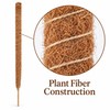 Moss Pole for Climbing Indoor Plants – Plant Fiber Support