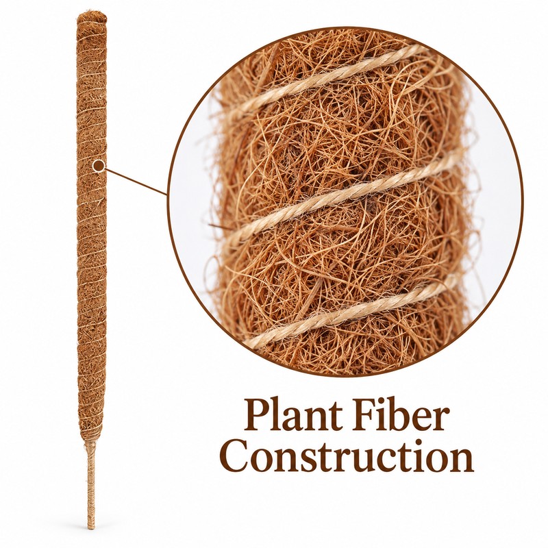 Moss Pole for Climbing Indoor Plants – Plant Fiber Support