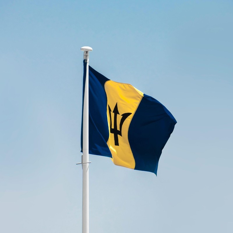 Runesol Barbados Flag, 91x152cm, 3ft x 5ft, 4 Grommets, Eyelet