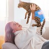 MICOOYO Disposable Cat Diapers, Cat Diapers for Female Cats with