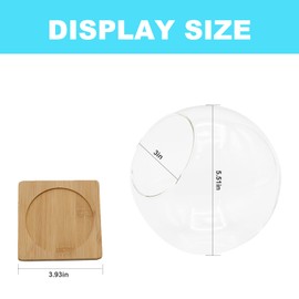 Plant Terrarium Display Glass with Bamboo mat, Tabletop Succulent Air Plant Planter Globe, Mini Terrarium Garden, Round Beveled Glass vase, Micro Landscape eco vase,for Succulents, Air Plants, Moss