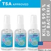 CleanSmart To Go Disinfectant Kills 99.9% of Viruses, TSA-Approved for