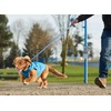 RC Pet Products 67408269 Shasta Jacket Fleece Lined Dog Coat,